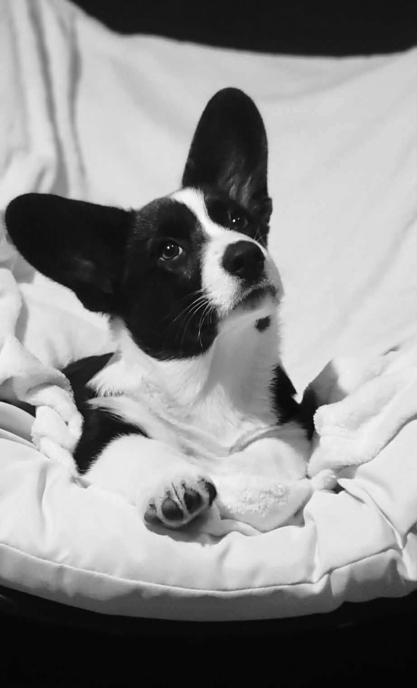 Arthur reste avec nous